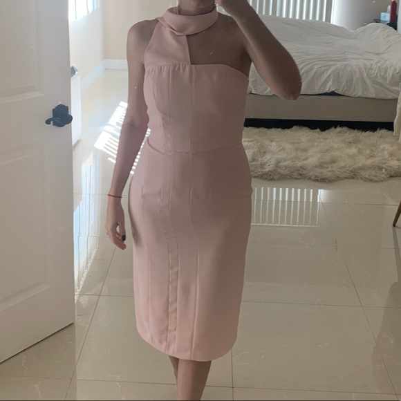 TY-LR pink midi dress from Revolve - Picture 6 of 8